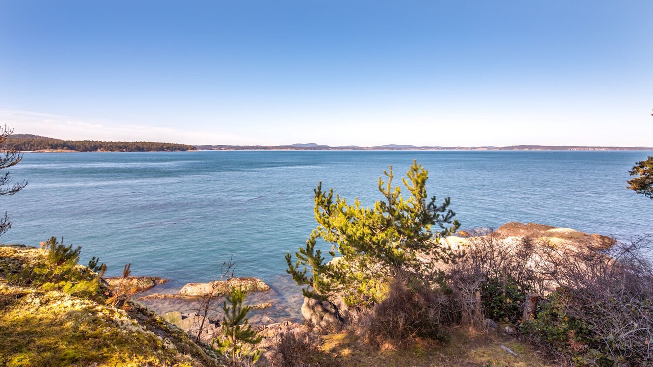 Photo of Others in Lopez Island