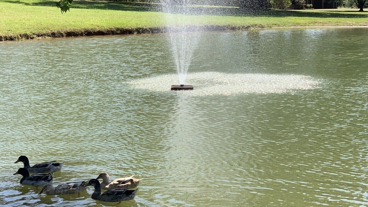 Photo of Others in Nacogdoches