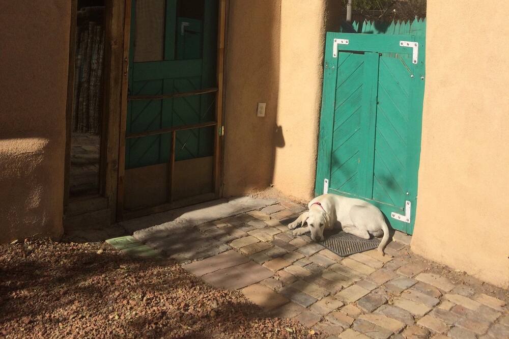 Photo of Outdoor in Bernalillo