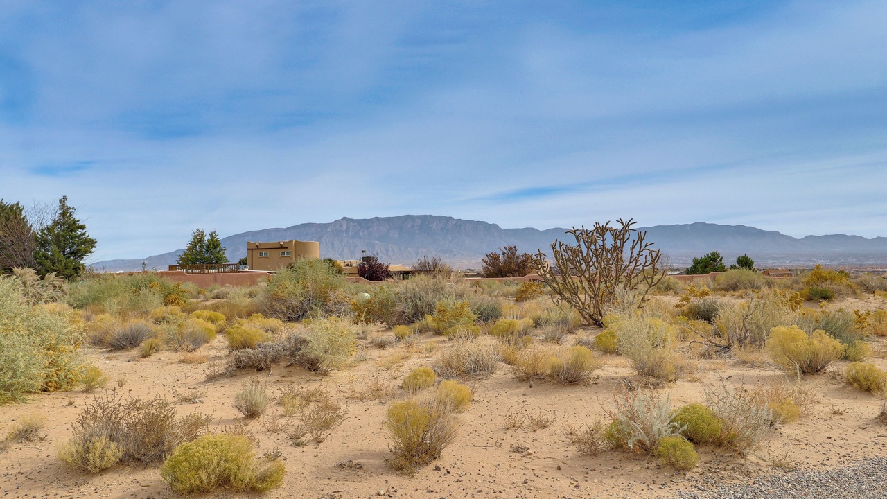 Photo of Others in Rio Rancho