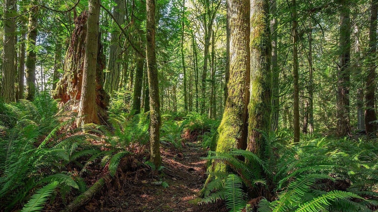 Photo of Others in Suquamish
