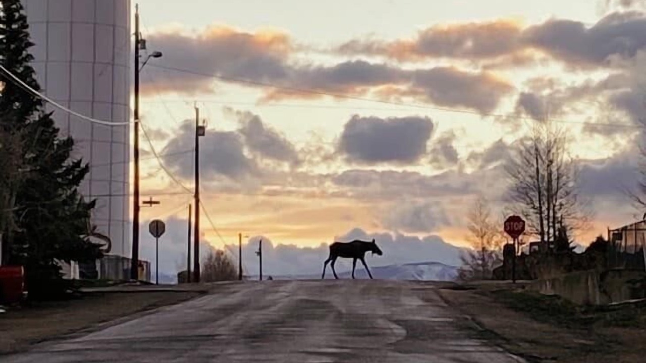 Photo of Outdoor in Walden