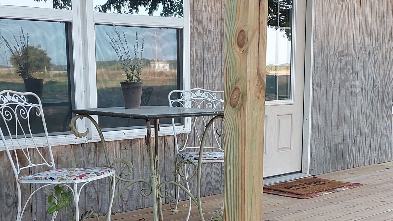 Photo of Outdoor in Bison