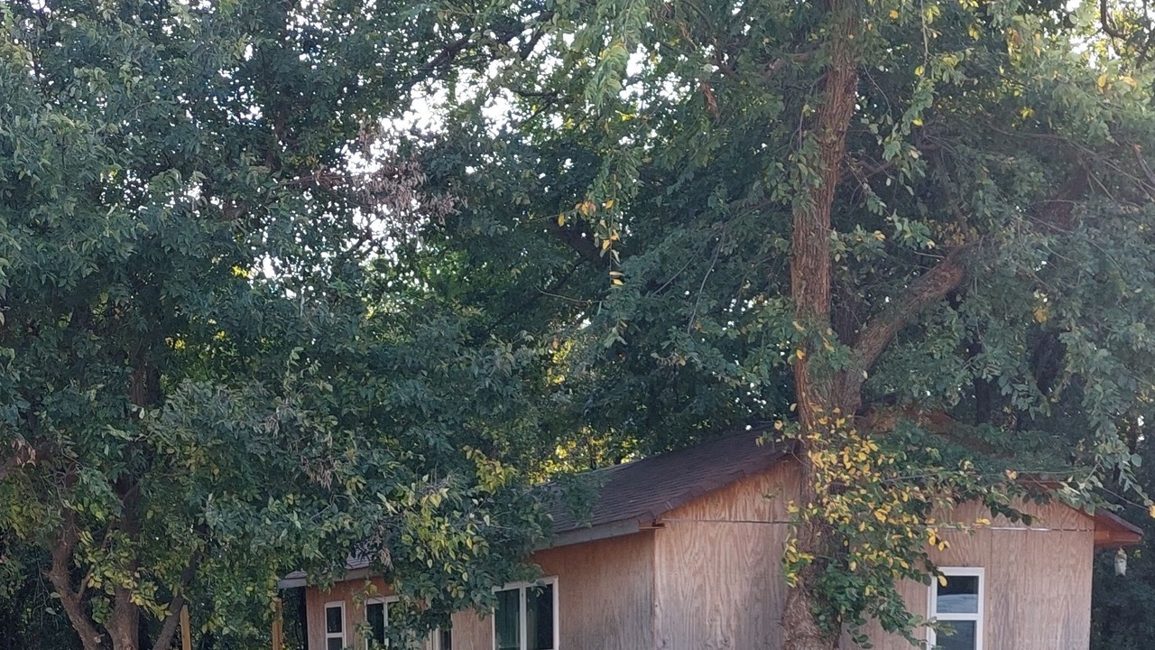 Photo of Outdoor in Bison