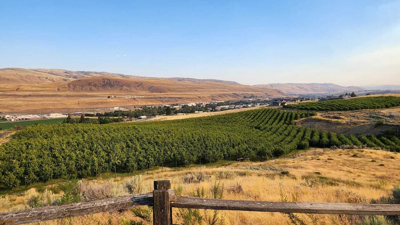 Photo of Others in Okanogan