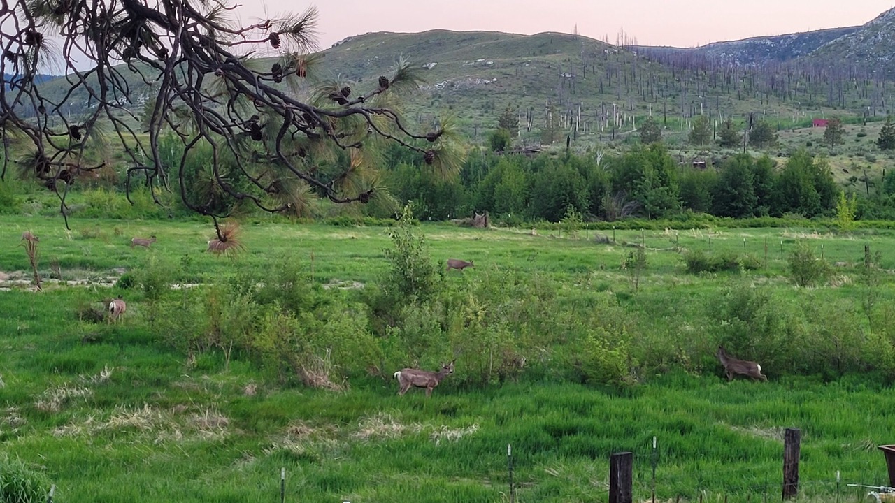 Photo of Outdoor in Okanogan County