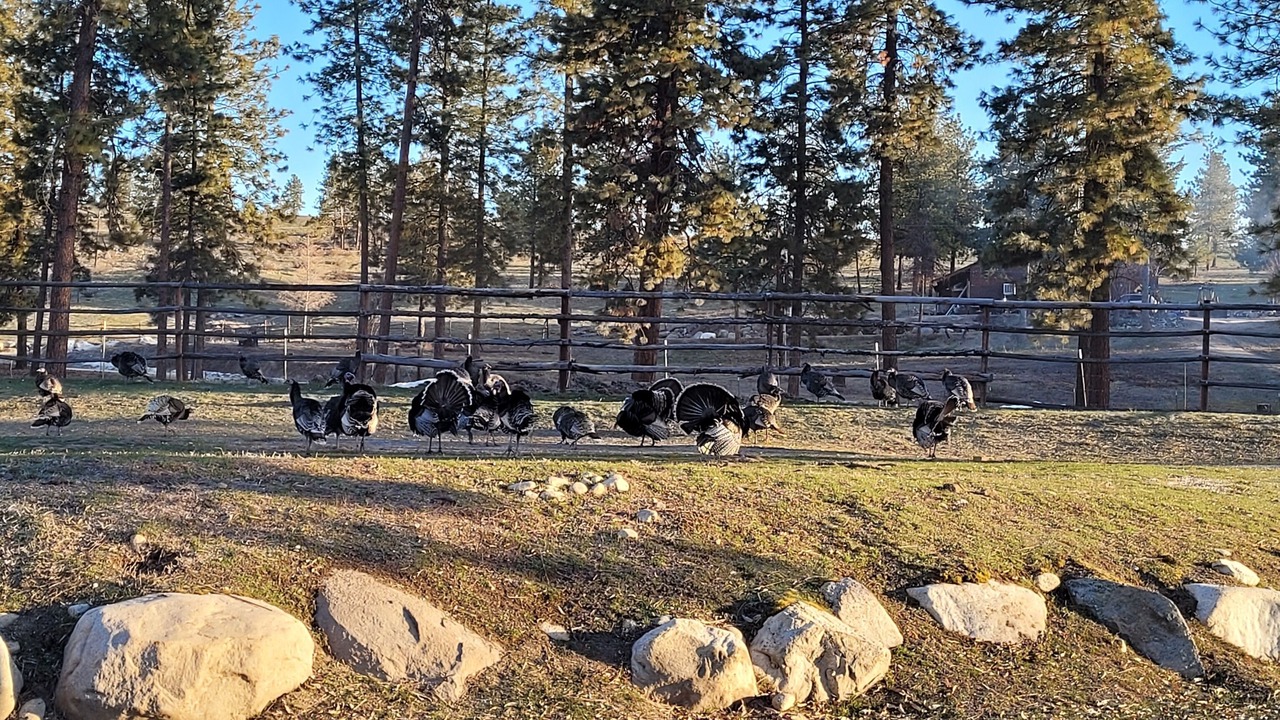 Photo of Outdoor in Okanogan County
