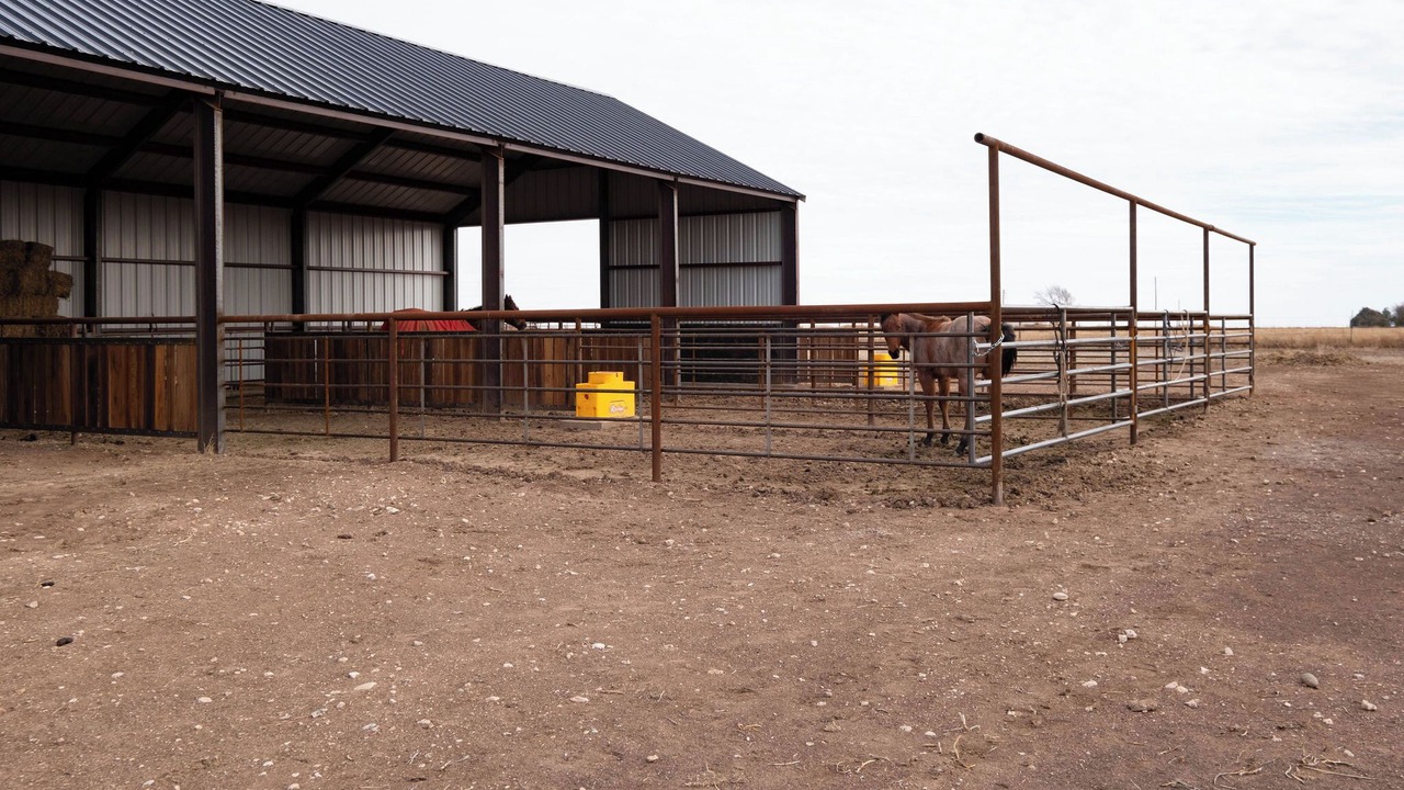 Photo of Outdoor in Dawn