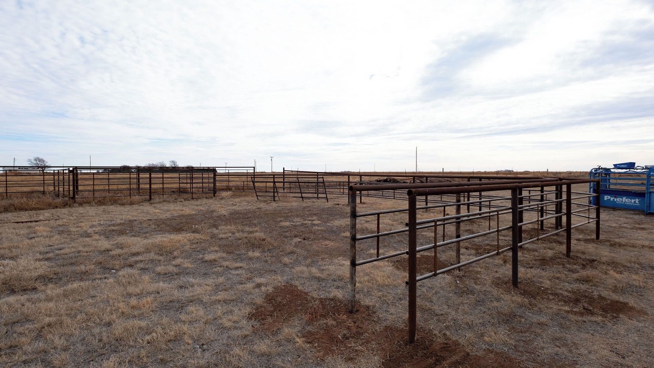 Photo of Outdoor in Dawn