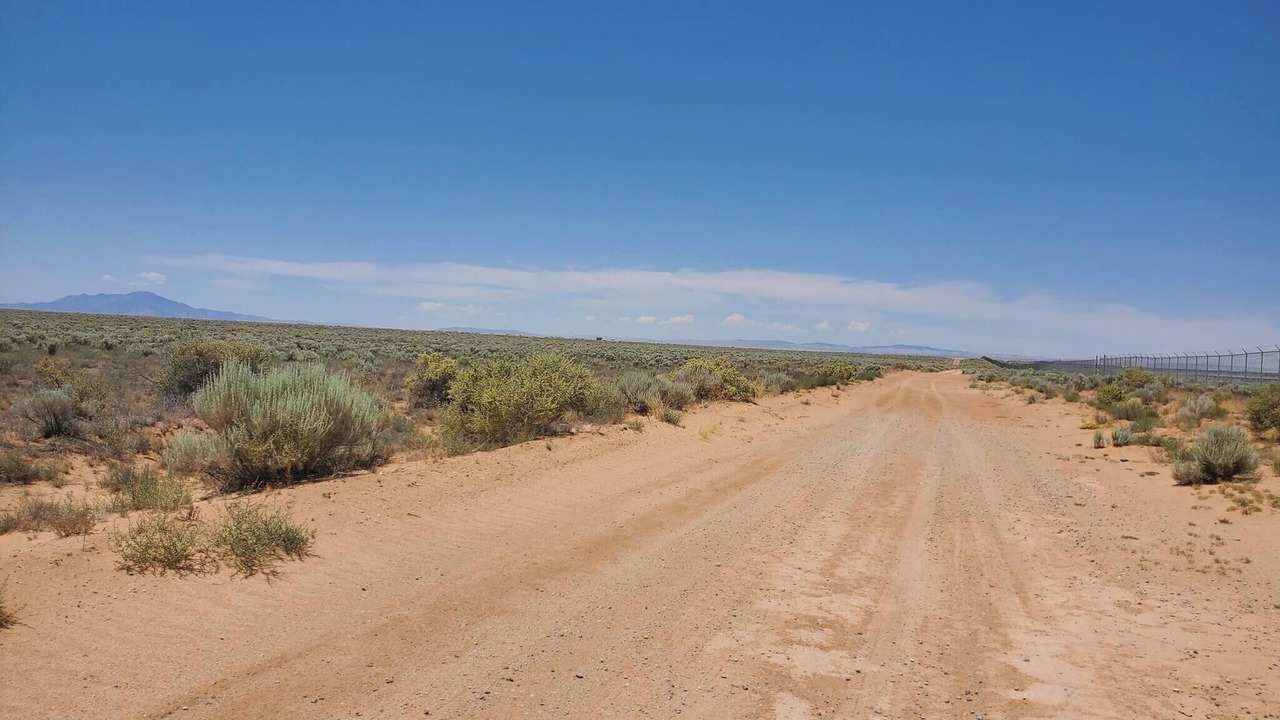 Photo of Others in Bosque