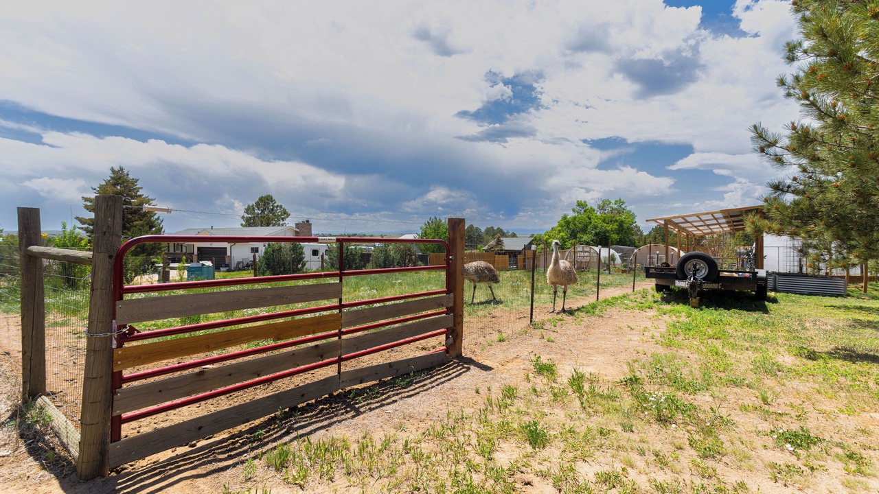 Photo of Outdoor in Aurora