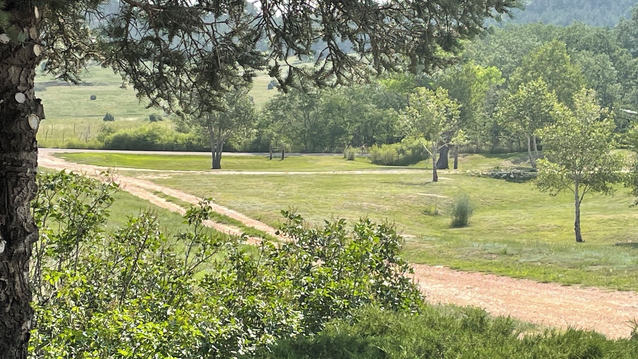 Photo of Others in Rainsville