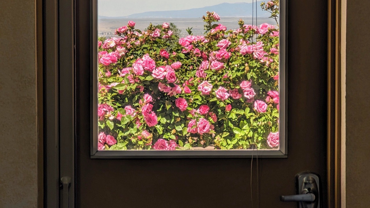 Photo of Others in North Albuquerque Acres