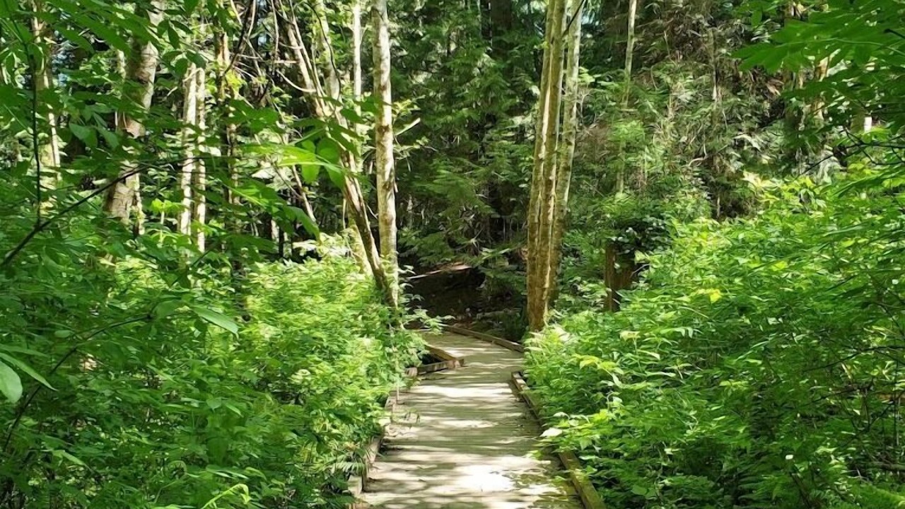 Photo of Outdoor in Kingston