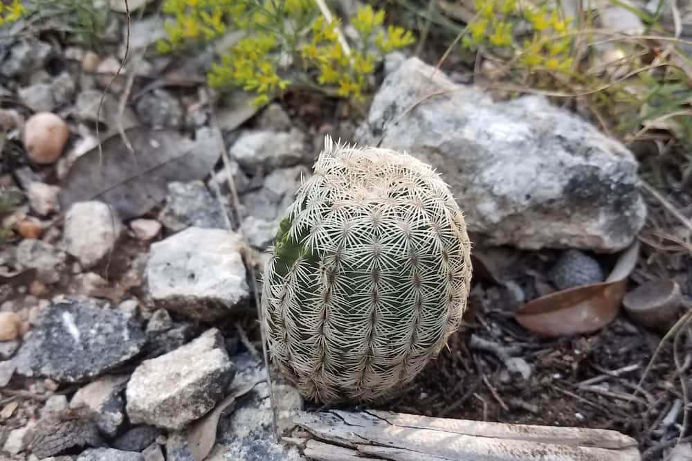 Photo of Outdoor in Moody
