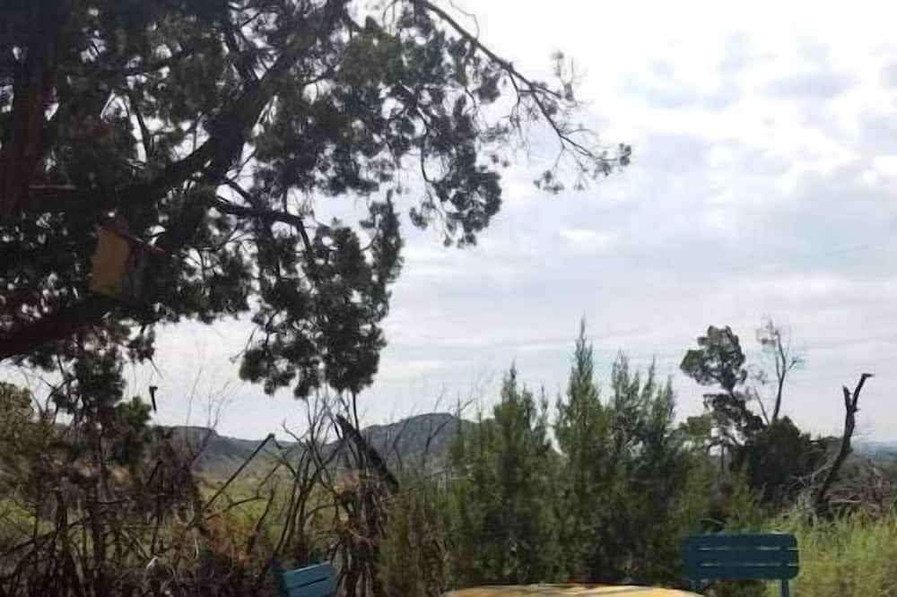Photo of Outdoor in Cerrillos