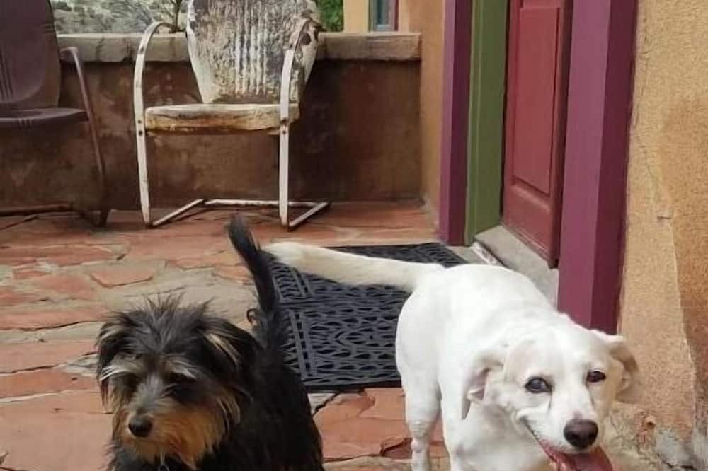 Photo of Others in Cerrillos