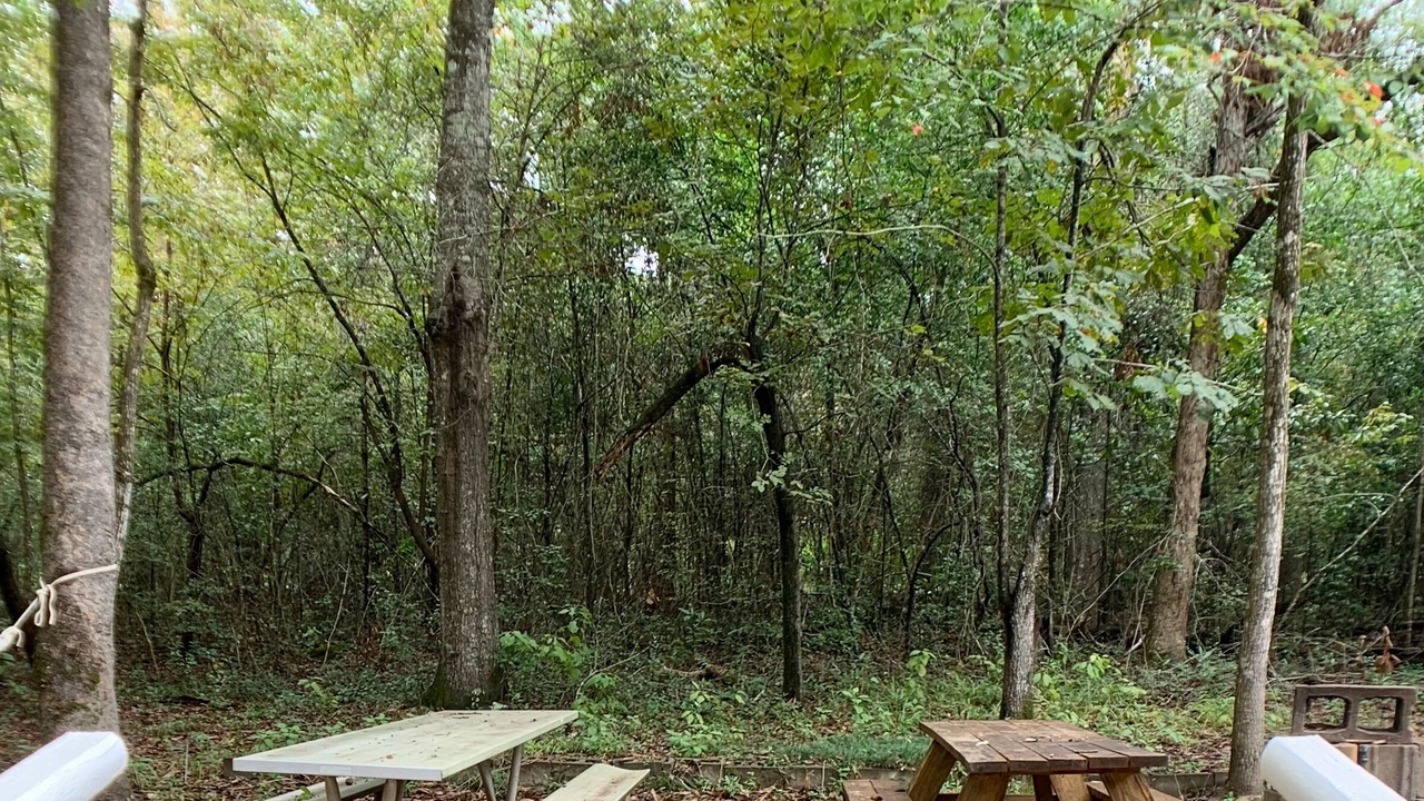 Photo of Outdoor in Hillister