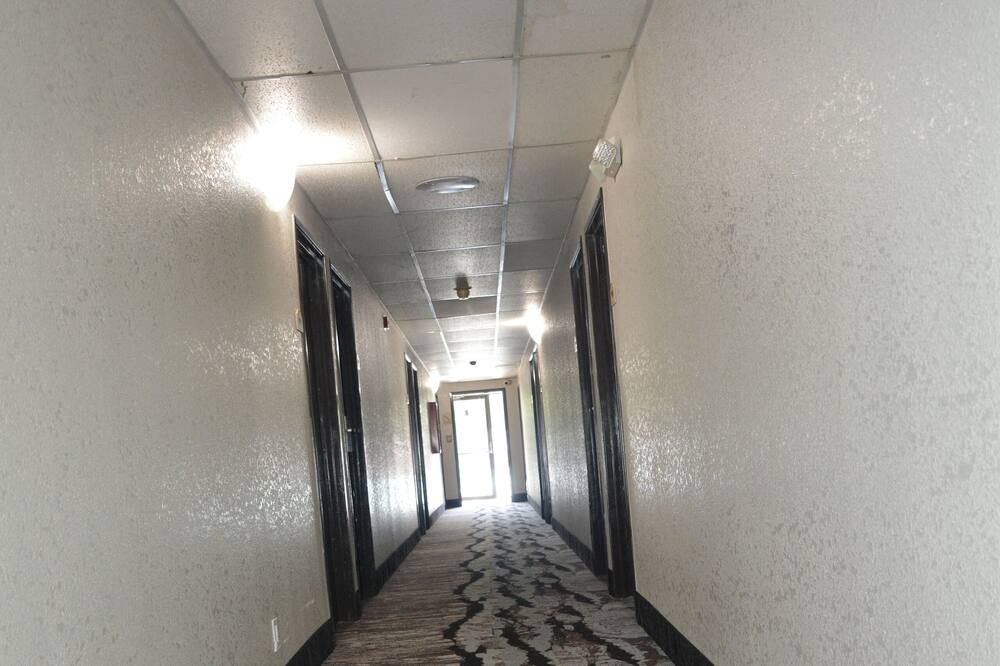 Photo of Others in Lovington