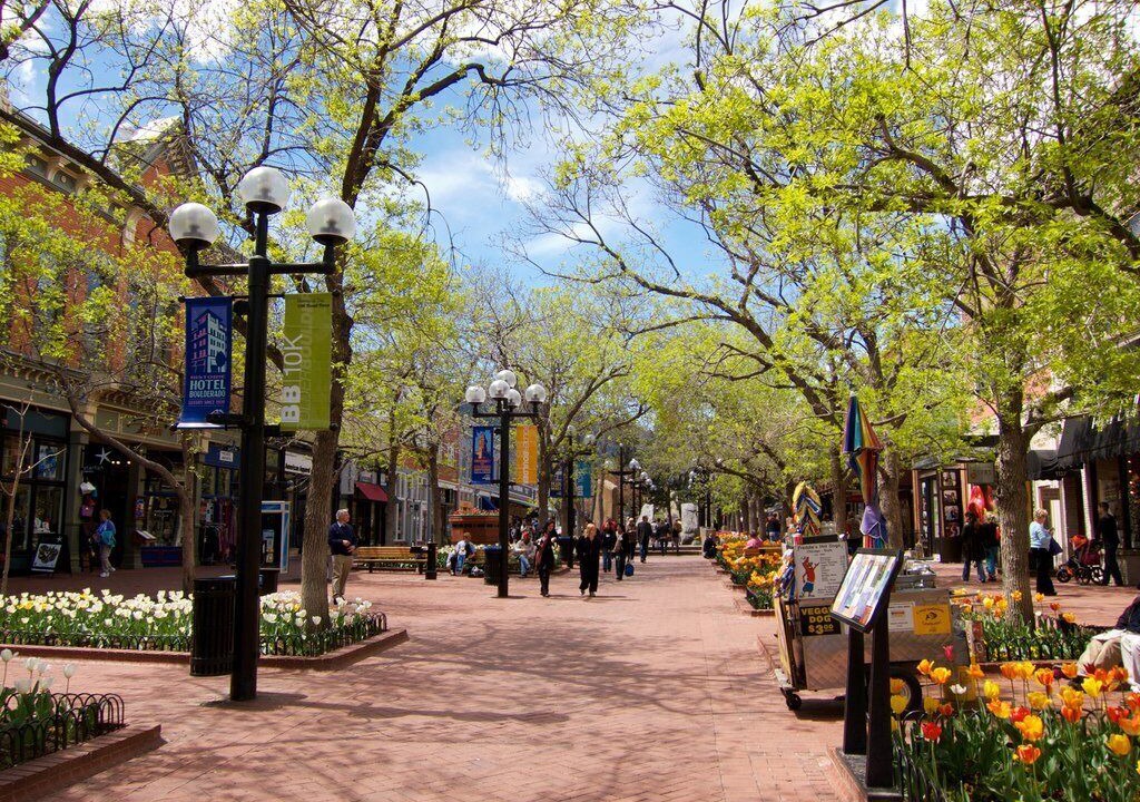 Photo of Others in Transit Village