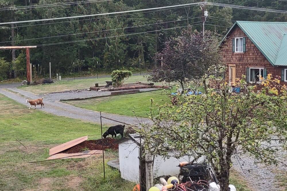 Photo of Outdoor in Lopez Island