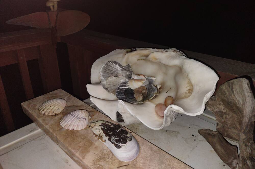 Photo of Others in Lopez Island