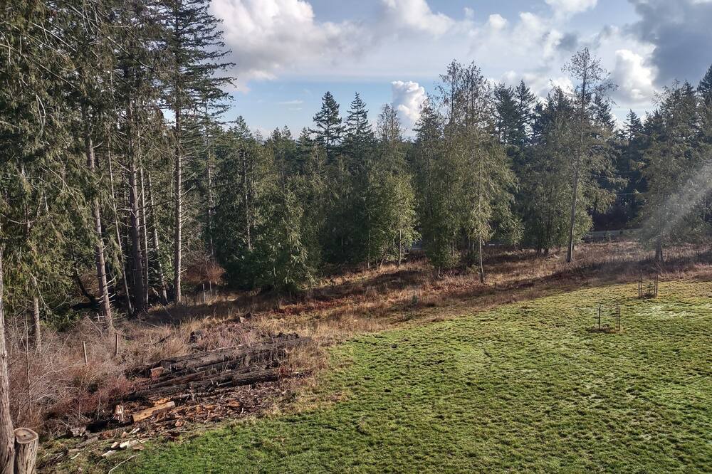 Photo of Outdoor in Lopez Island
