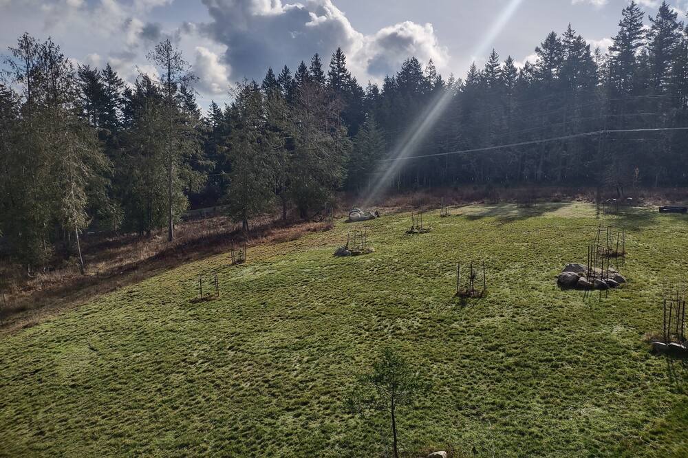 Photo of Others in Lopez Island