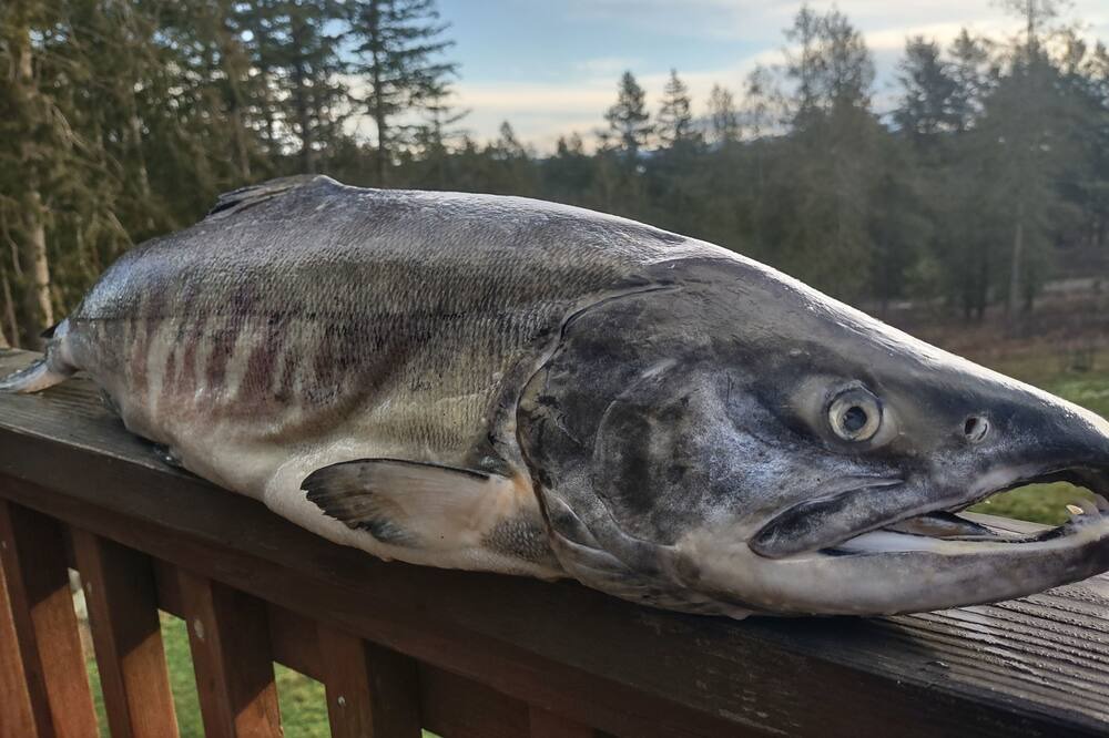 Photo of Others in Lopez Island