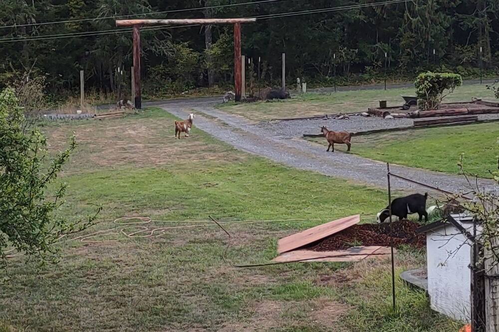 Photo of Others in Lopez Island