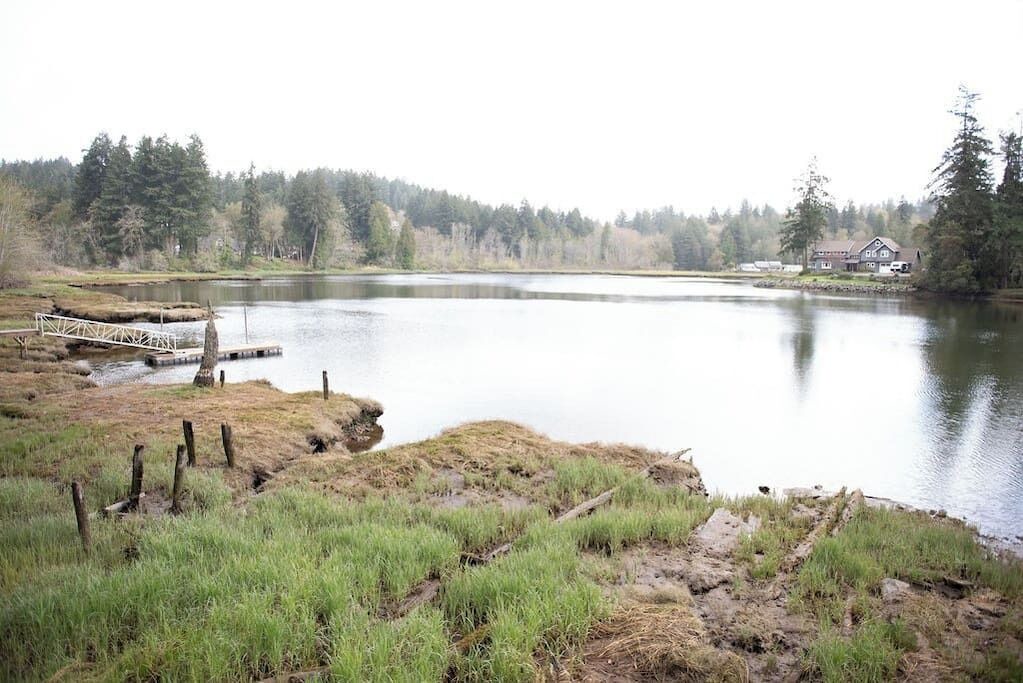Photo of Others in Gig Harbor