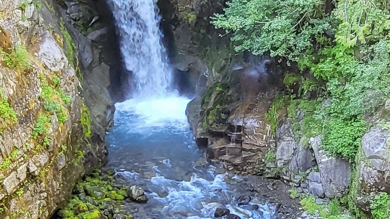 Photo of Outdoor in Packwood