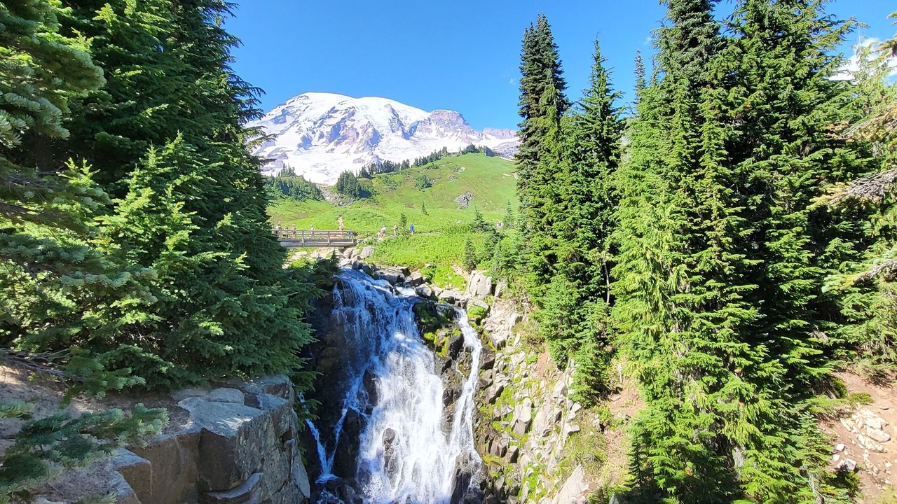 Photo of Outdoor in Packwood