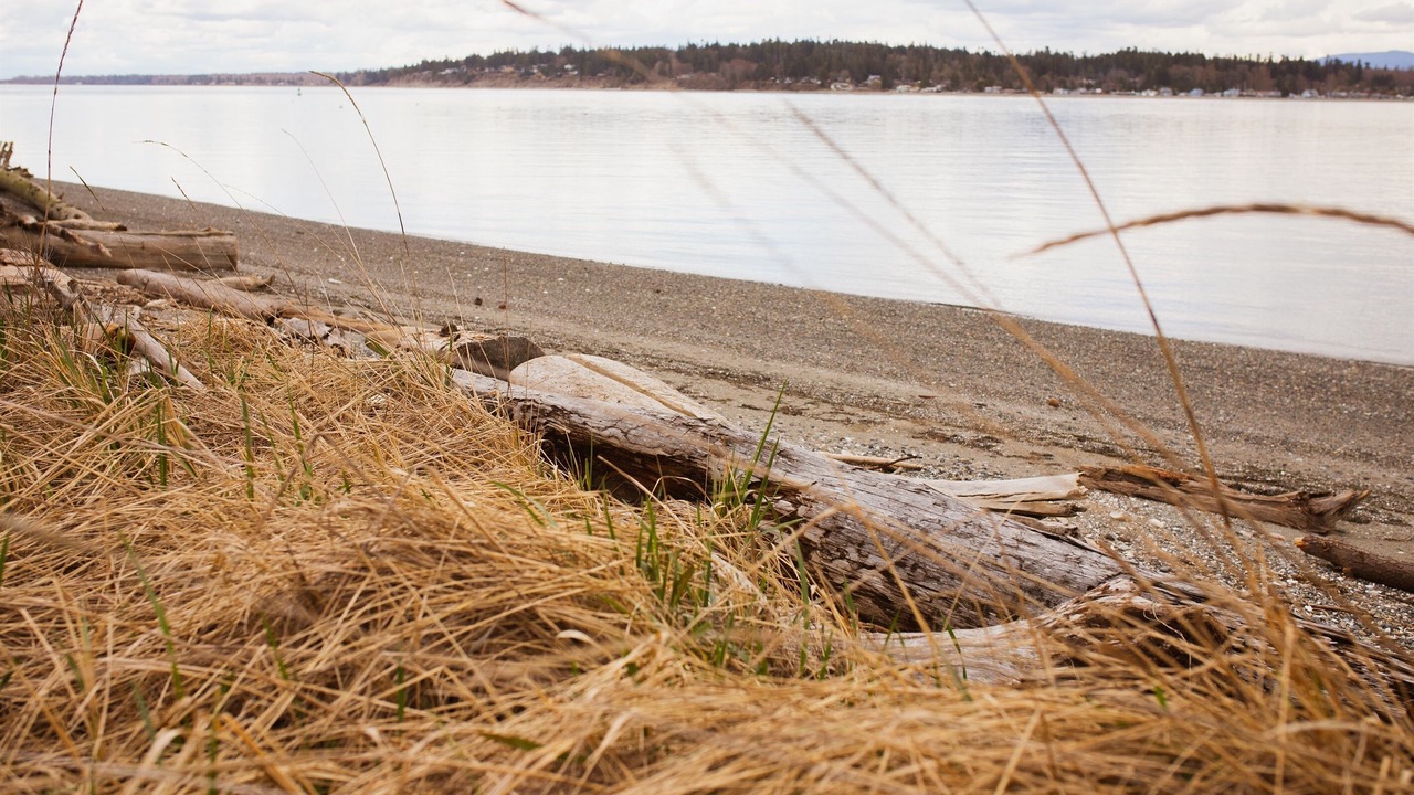 Photo of Others in Lummi Island