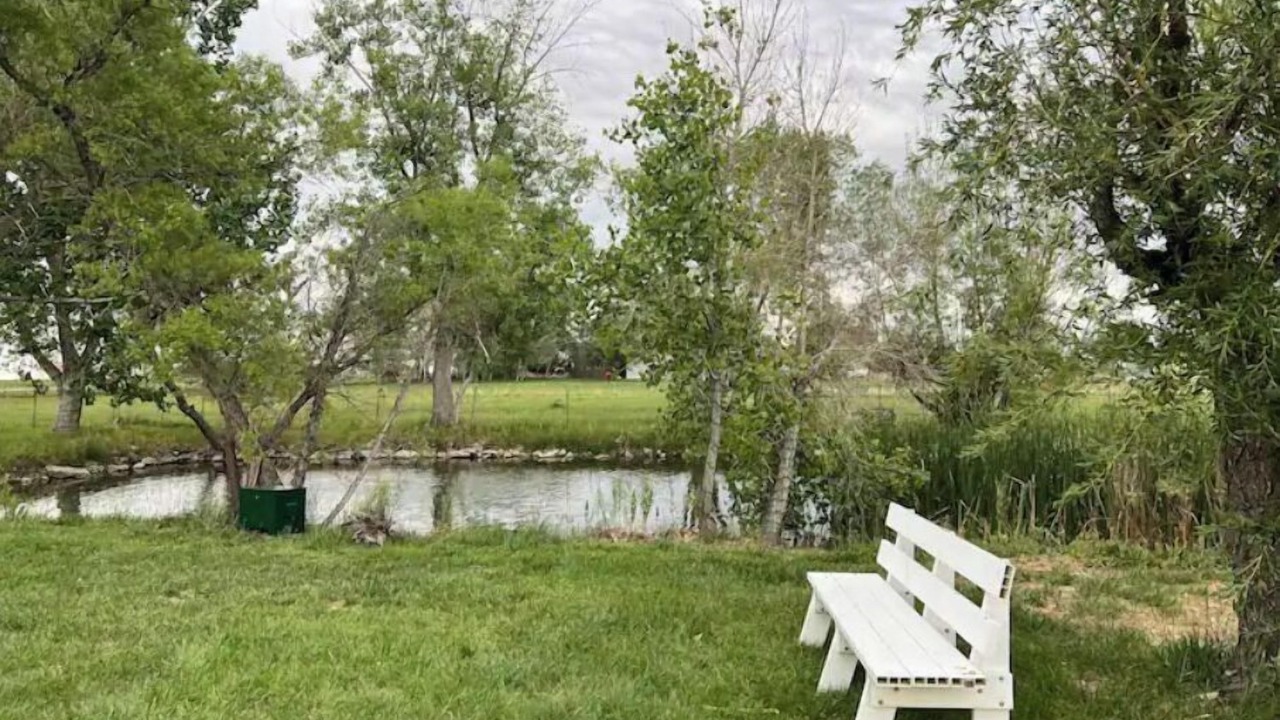 Photo of Outdoor in Longmont