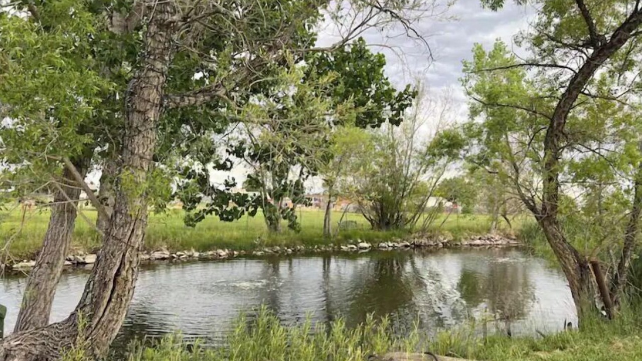 Photo of Outdoor in Longmont