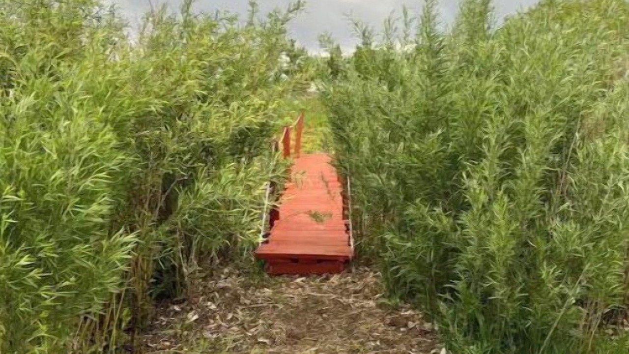 Photo of Outdoor in Longmont