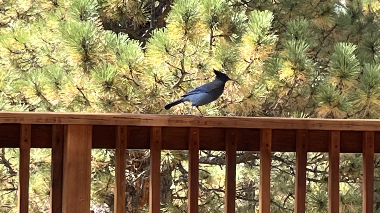 Photo of Outdoor in Angel Fire
