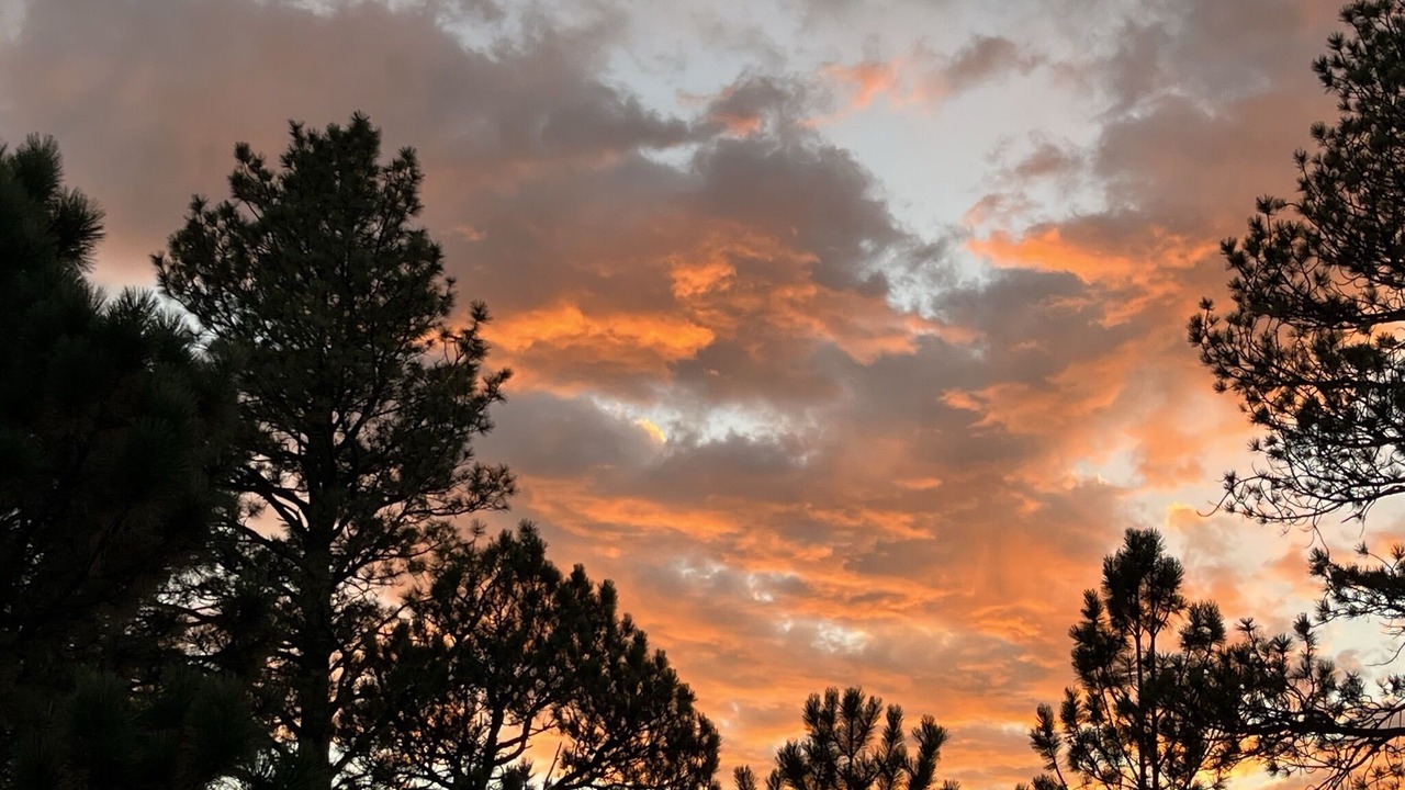 Photo of Others in Angel Fire