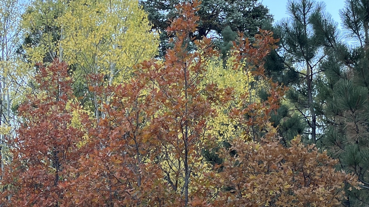 Photo of Others in Angel Fire