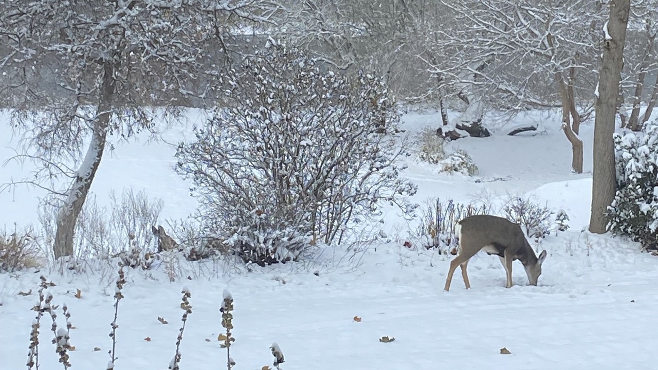 Photo of Others in Hermiston