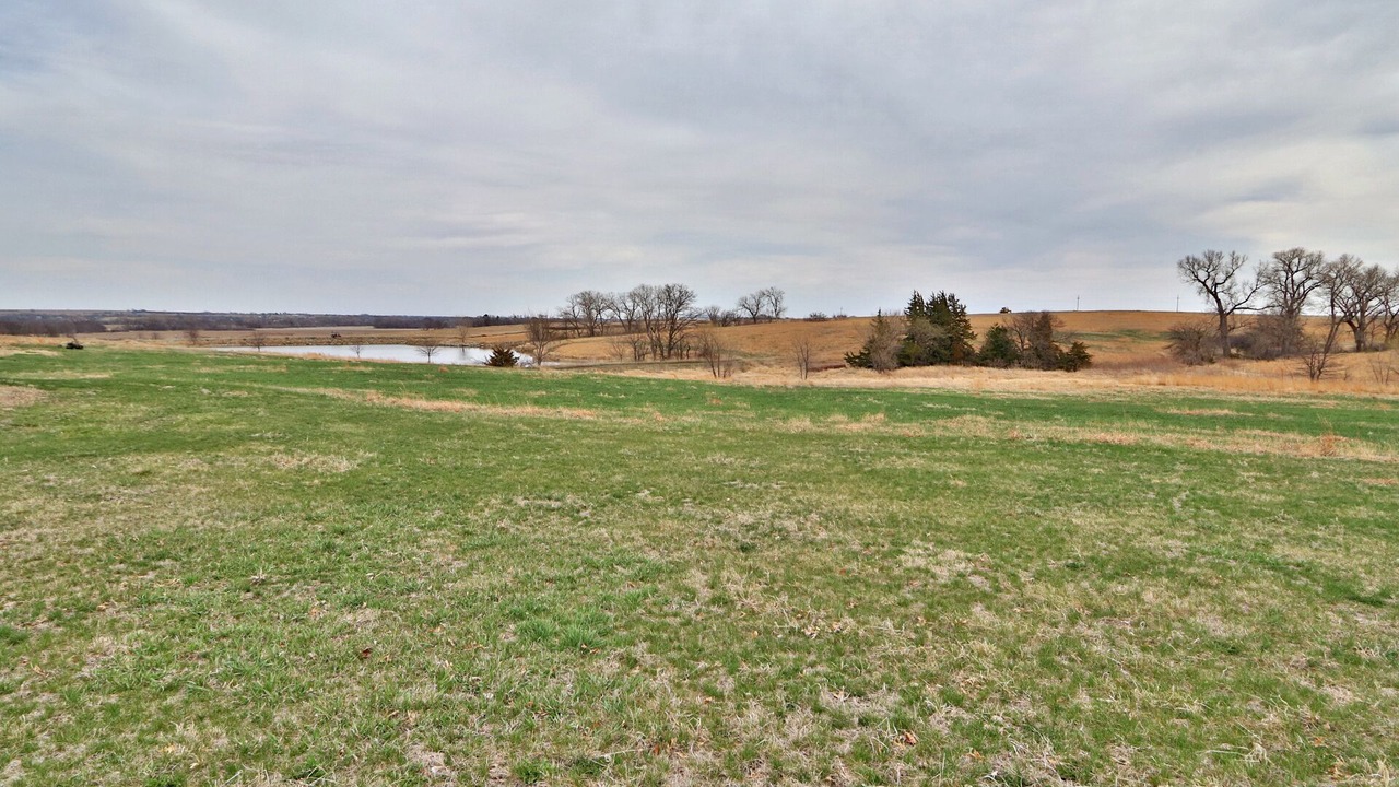 Photo of Others in Johnson County