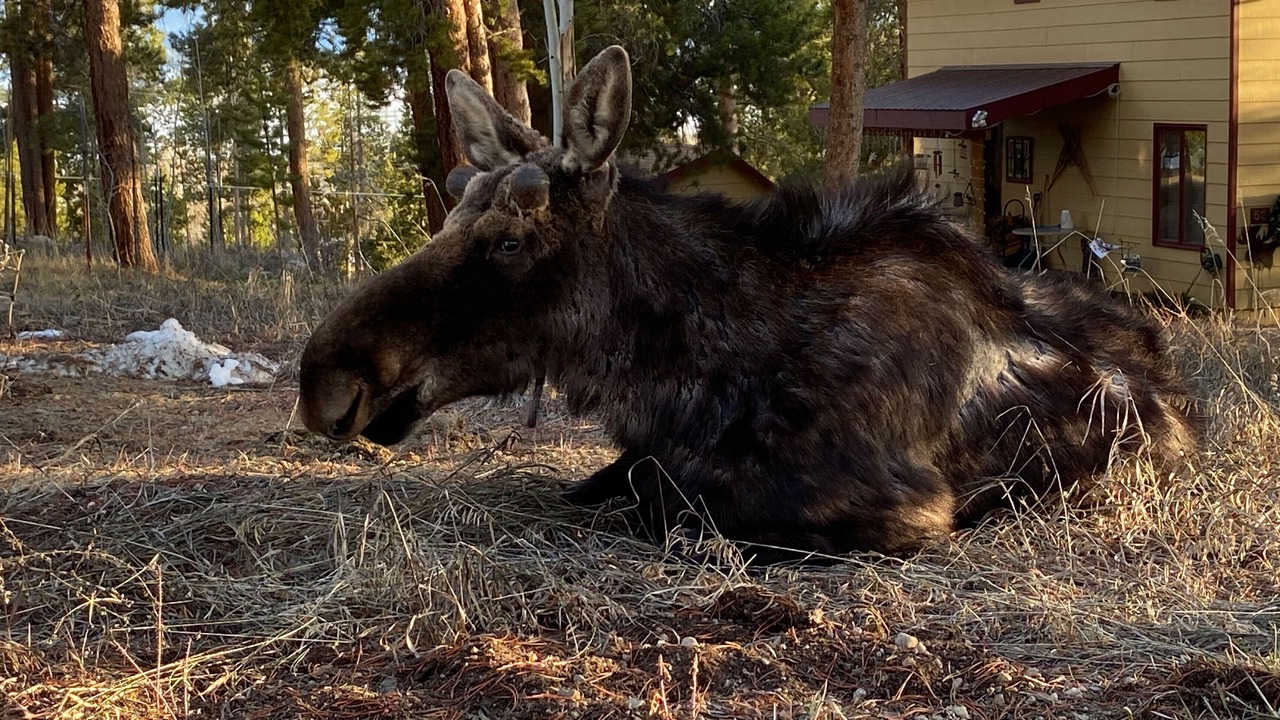 Photo of Others in Grand Lake