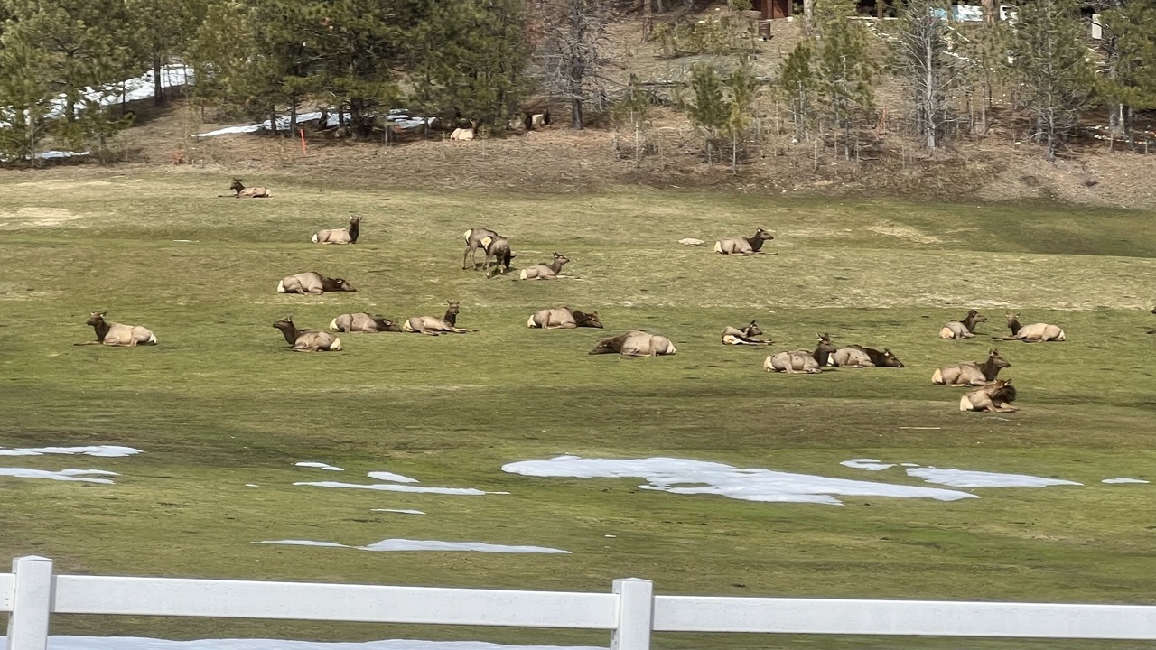 Photo of Others in Garden Valley