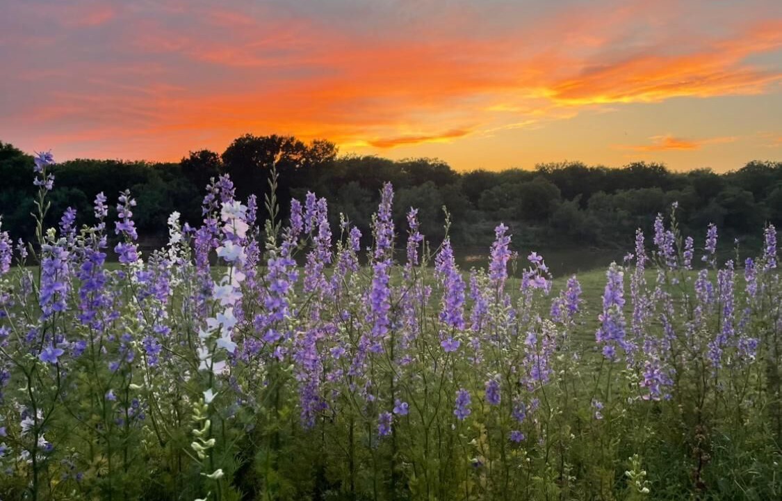 Photo of Outdoor in South Bend