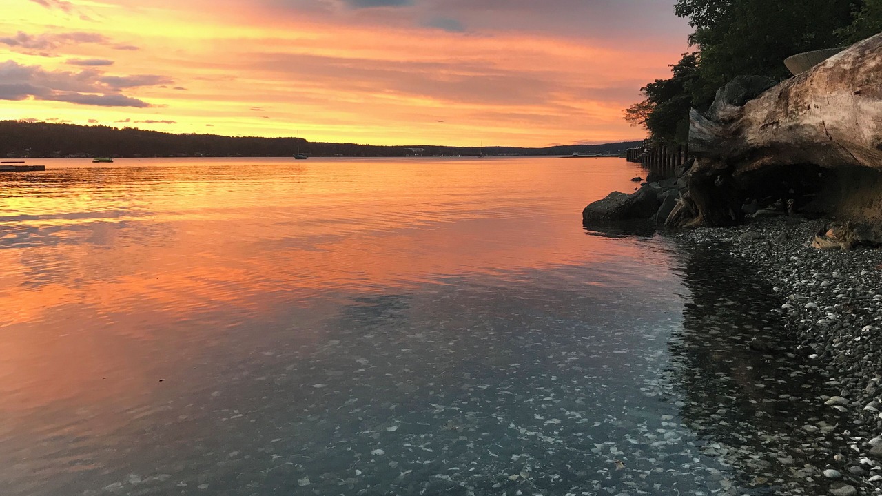 Photo of Others in Erlands Point-Kitsap Lake
