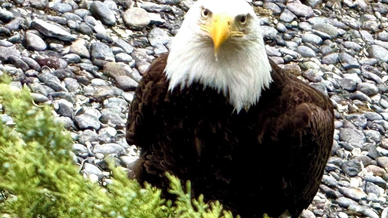 Photo of Others in Erlands Point-Kitsap Lake