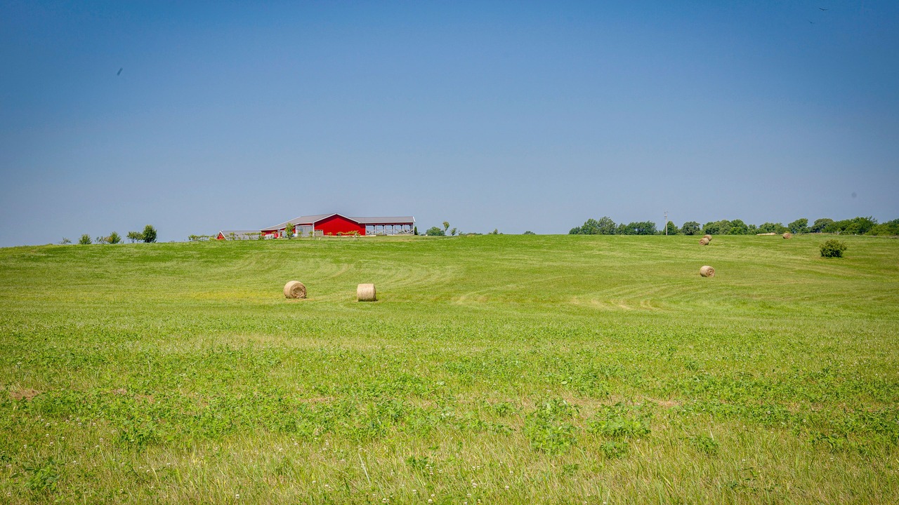Photo of Others in Clinton County
