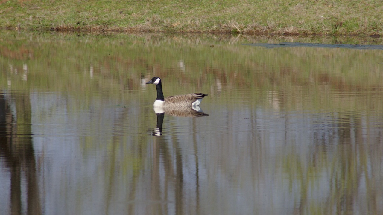 Photo of Outdoor in Pottawatomie County