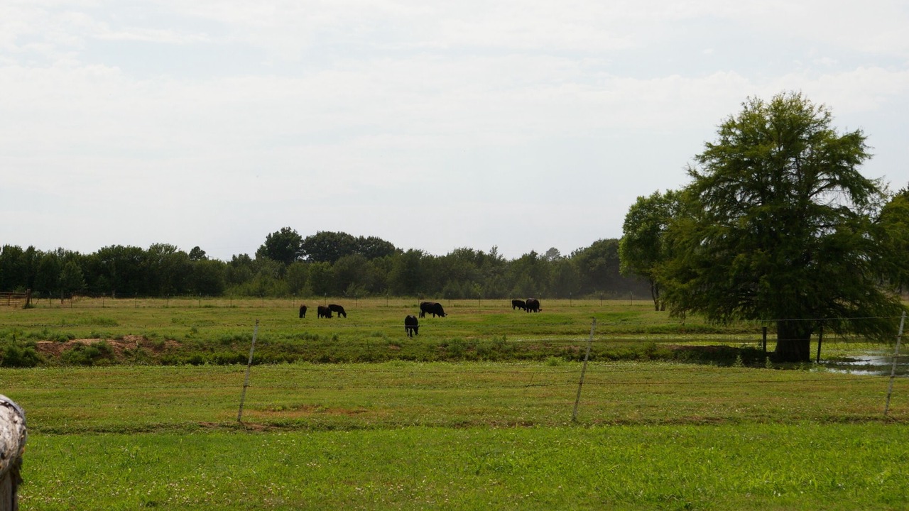 Photo of Others in Pottawatomie County